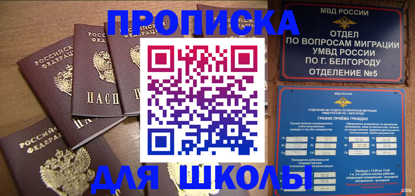 прописка гарантия в Раменском